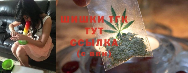 spice Карпинск