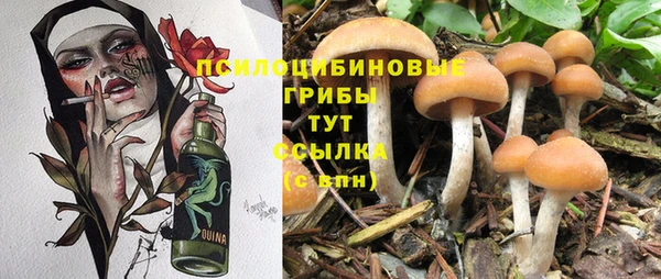 соль курить ск Касимов