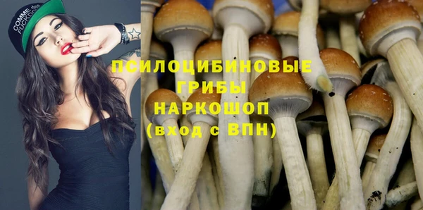 spice Карпинск