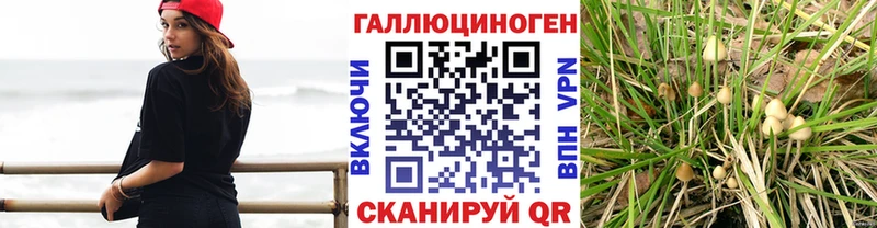 Псилоцибиновые грибы мицелий  Купить закладки  Нижняя Тура 