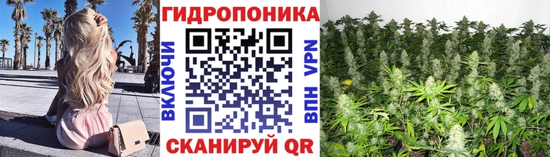 Бошки Шишки Ganja  Купить закладки  Нижняя Тура 